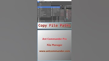 Copy Files Paths to Clipboard on Windows #path #files #clipboard