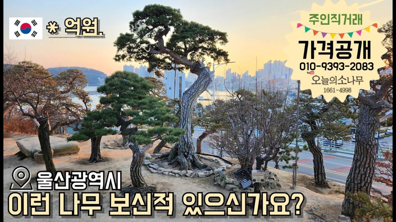꼭 실물로 봐야 할 명목 소개합니다.  [주인:010-9393-2083]