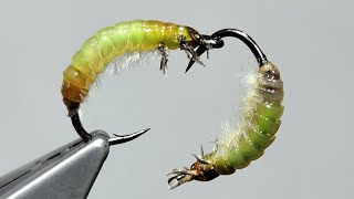 Tying a Fishable Realistic Caddis Fly Larva Fly Pattern