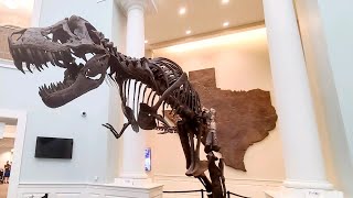 Mayborn Museum Complex - DINOSAURS!