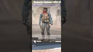 Agents In Cs2 Blueberries Buckshot Nswc Seal