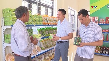 6 tháng đầu năm 2024, Thanh Hóa thành lập mới 24 Hợp tác xã