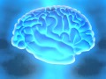 Brain food  super learning fast skills for memory recall study exams