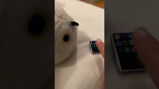 Milky Like Playing Minecraft