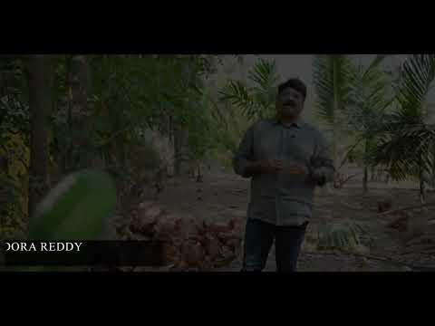 ABHI EGGS!!CHICKEN POULTRY SHOOT!!
