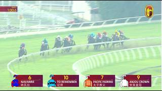 11 JULY 2026 RACE 4