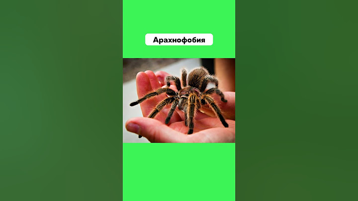 Есть Ли у Тебя Боязнь Пауков 🕷 #Арахнофобия #Страх #Фобия #Пауки #Паукообразные #Подпишись #Shorts