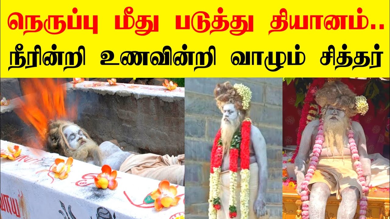 நெருப்பின் மீது படுத்து தியானம்|  நீரின்றி உணவின்றி வாழும் சித்தர்| மகாதேவமலை சித்தர்| living sidhar