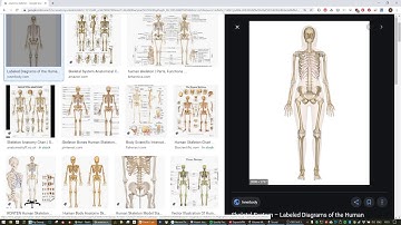 Asset Design 3DS Max CAT Rigging and Link Constraints