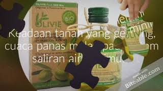 Olivie plus 30x