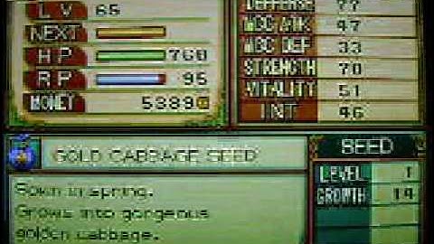 Little Farming Secrets in Rune Factory 2