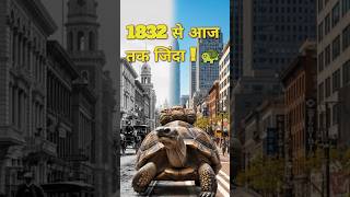इसने गांधी जी और टाइटैनिक दोनों को देखा है! 🐢😱 #shorts #amazingfacts #facts