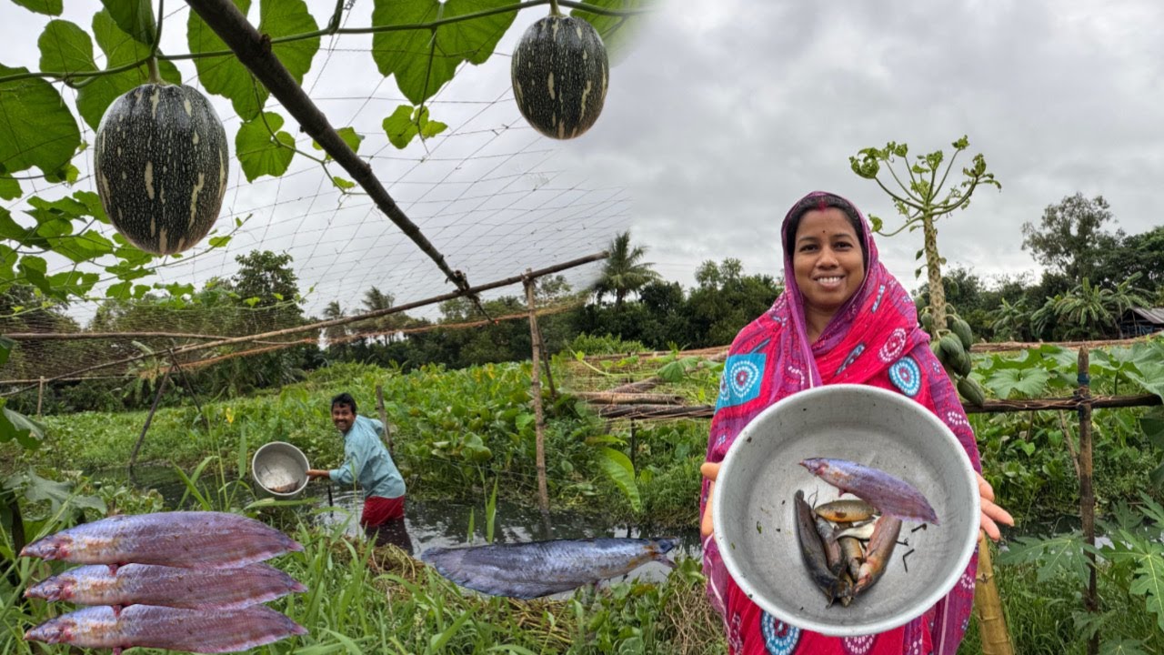ঝিরিঝিরি বৃষ্টির মধ্যে কচুরিপানার জঙ্গলের ভিতর জাল পেতে কি কি মাছ পেলাম দেখুন ||