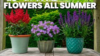 10 Lazy Perennials That THRIVE in Pots