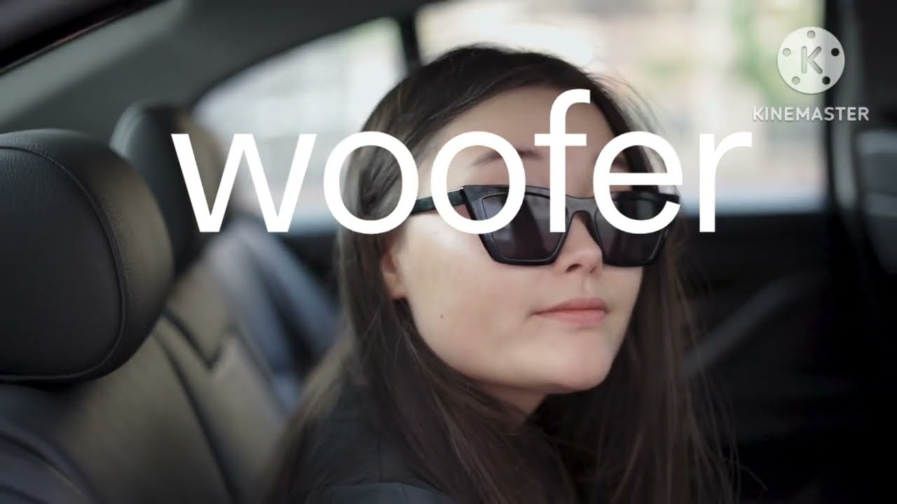 BAJDA WOOFER GADDI VICH || BASS BOOSTED || DR ZEUS ||#ThunderBassboosted#song #hardbassdjremix