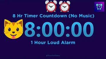 8 Hour Timer Countdown (No Music) + 1 Hour Loud Alarm