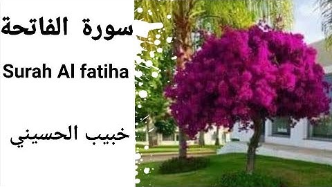 تلاوة سورة الفاتحة بصوت جميل اجمل تلاوة في العالم