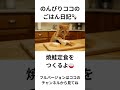 ココが焼鮭定食をつくるよ〜🍚🍵#猫#茶トラ猫#ai猫#料理#cat#catlover#catshorts #catvideos #aicat #cat