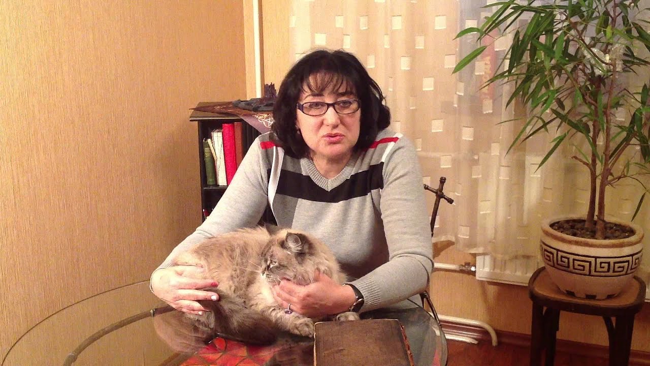 Заказать приворот - YouTube