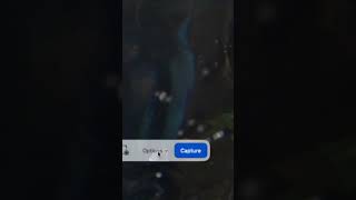 Floating thumbnail on Mac @WilliamGallagher