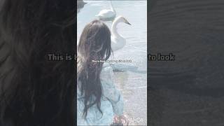 this is how my dream life looks like #song #music #forever