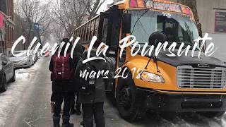 Sorties entre Elles Montréal - Chenil La Poursuite - Mars 2018