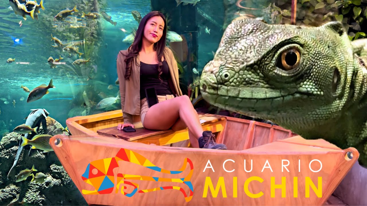 Lugares que tienes que visitar si estas en CDMX | Acuario Michin - YouTube