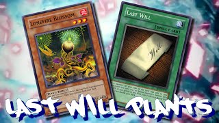 Banned Combos #23. Last Will Plants Burn FTK (+BONUS)
