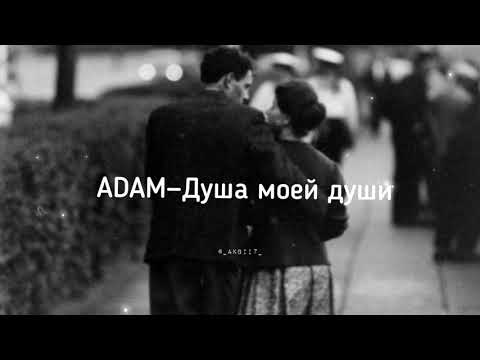 ADAM–Душа моей души [текст песни]