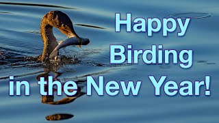 Happy Birding in the New Year from your friends at Imaging Resource!