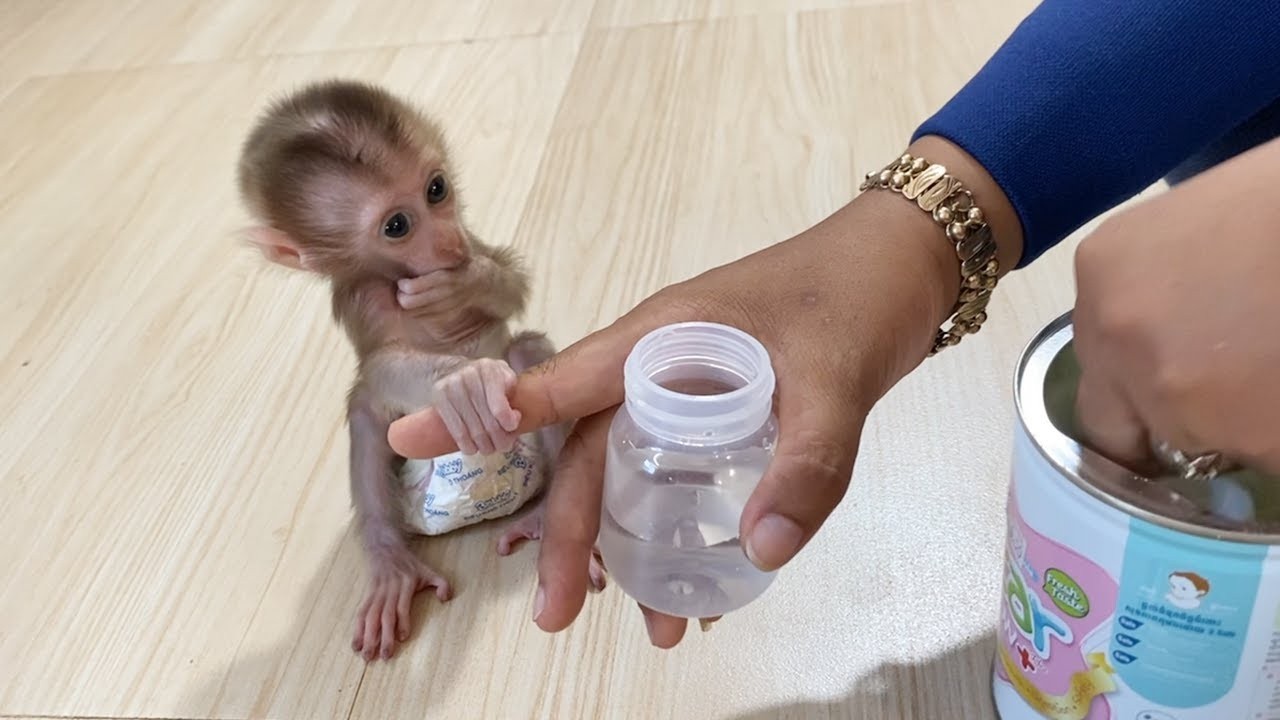 Poor Dorn Touch Mom's Finger Waiting For His Milk