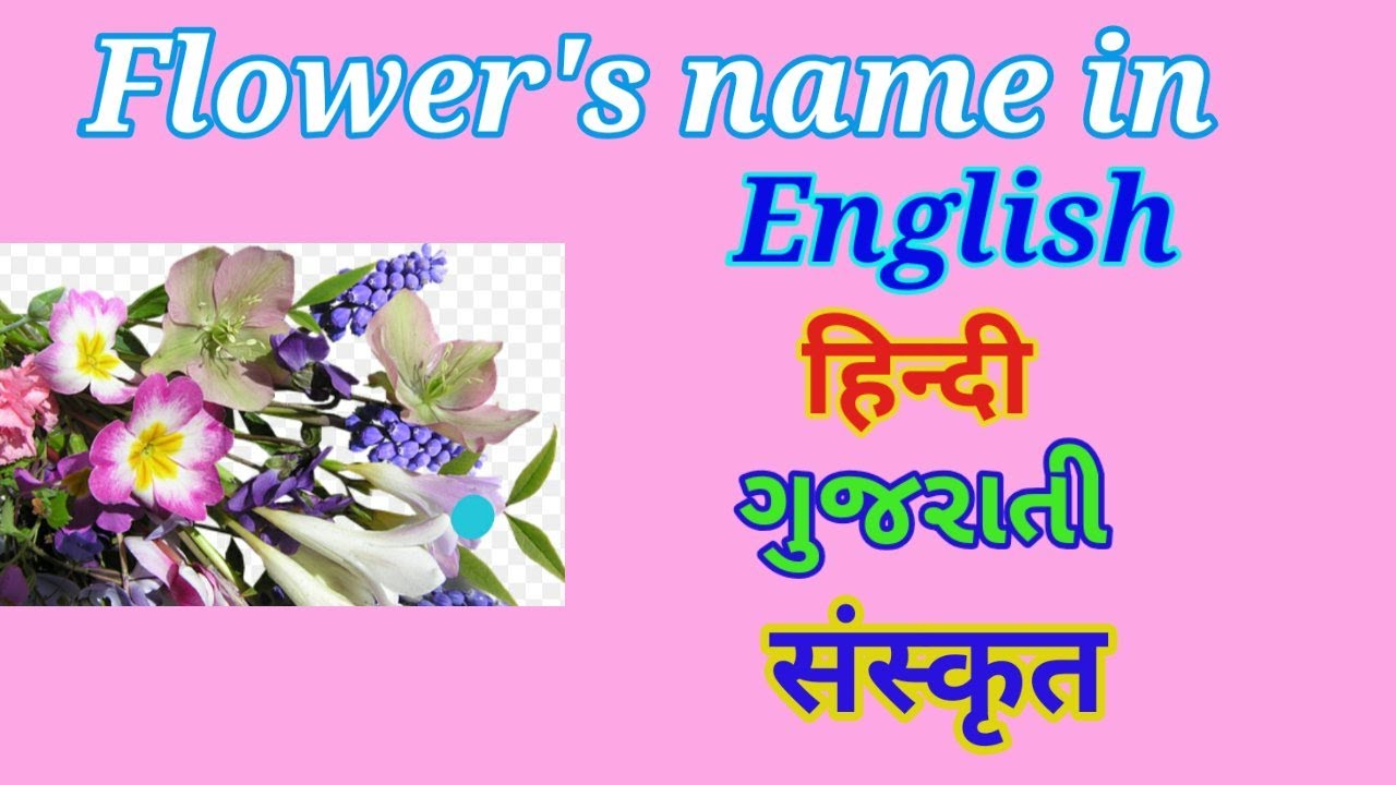 Flowers Name In Sanskrit And Hindi With Pictures Best Flower Site