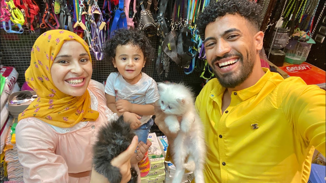 اخيرااا اشترينا قطة لابني .. رد فعلو غريب جدا🙈😹جبس مصر وام سليم