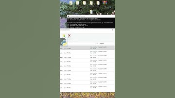 Exe file to source code