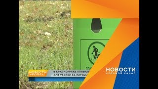 Как красноярцы реагируют на урны с пакетами для уборки за собакой: отвечает активистка Как красноярцы реагируют на урны с пакетами для уборки за собакой: отвечает активистка