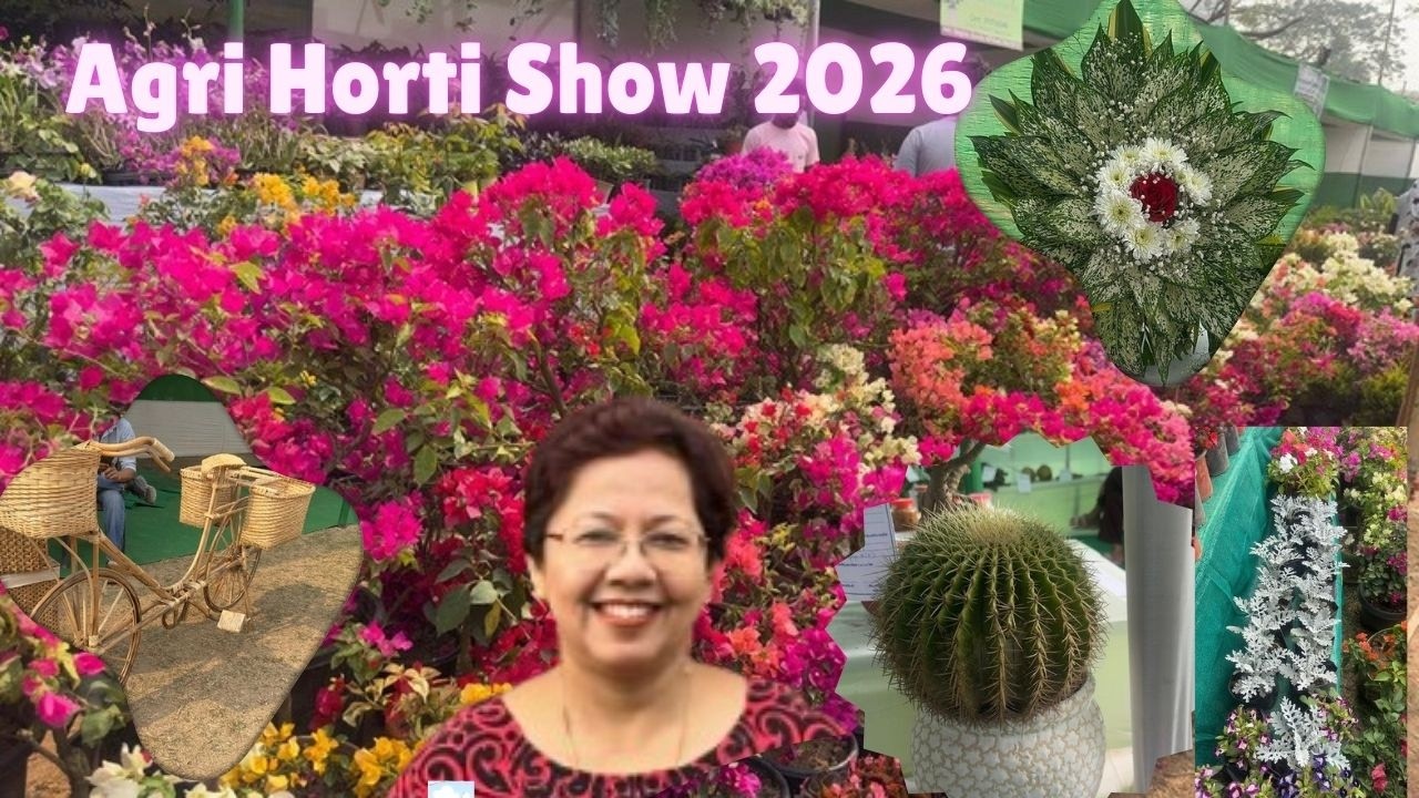 Agri Horti show 2026 Krishi Bhawan Khanapara Field #agrihortishow till 1st March #foodblogger
