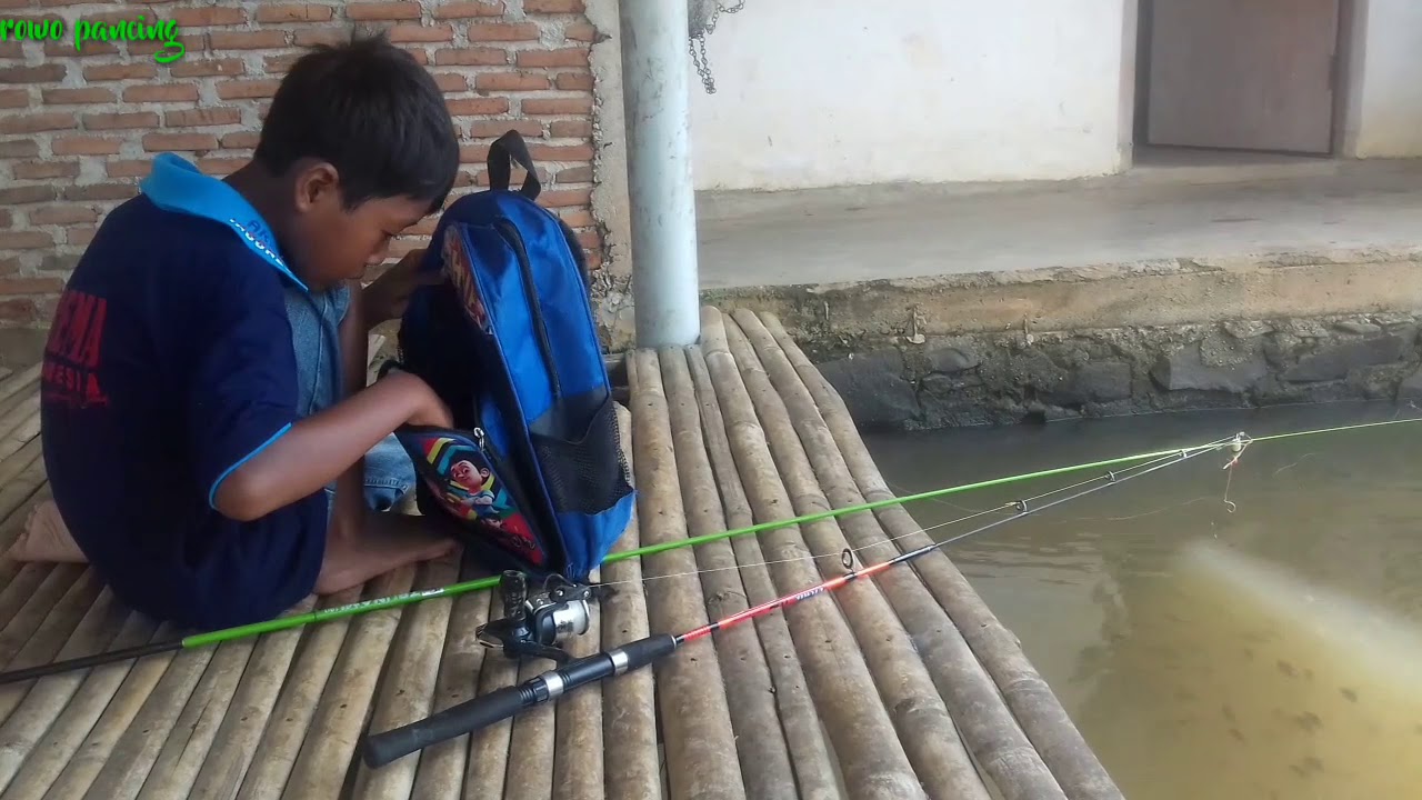 Tingkah lucu anak kecil canda gurau mancing ikan nila kecil2 di kolam