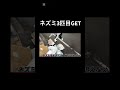 まじ笑った#shorts