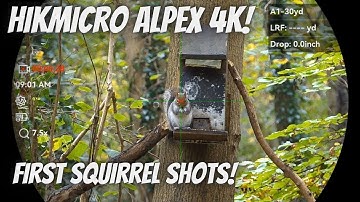 Hikmicro Alpex 4K First Shots at the Grey Squirrels on the FX Crown MKII Air Rifle .22 Hybrid Slugs