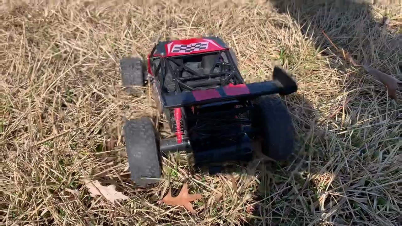 RC Rally Car Run On Grass Competition￼