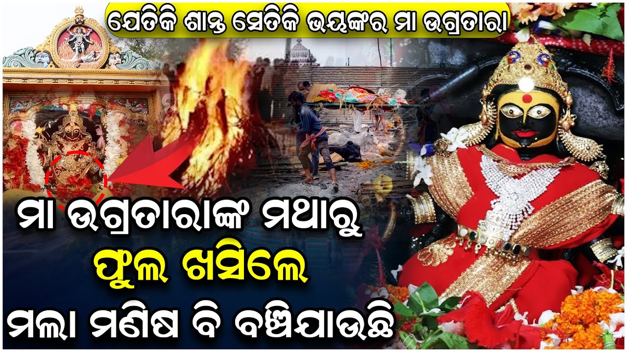 ମନସ୍କାମନା ପୂର୍ଣ୍ଣ ହେବ କି ନାହିଁ ଜଣାଇଦିଏ ମା ମଥାରୁ ଖସୁଥିବା ଫୁଲ .| Maa | Maa Ugratara Temple | Hindu