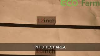 Eco Farm 220W Quantum Board With Samsung Lm281B Chipsuvir Led Grow Light