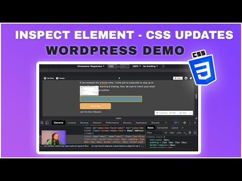 Inspect Element - CSS Updates (WordPress Demo)