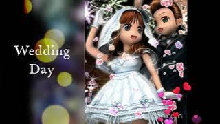 Wedding Day - Audition