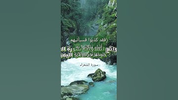 (فقد كذبوا فسيأتيهم أنباء ما كانوا به يستهزئون) الآية 6 سورة الشعراء#قناة_تلاوات_قارئ_من_اليمن