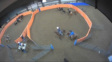 Big Sky Ranch Sorting Saddle Series #2 - #8 Ranch Hand H/C - Round #1 - Ride #18