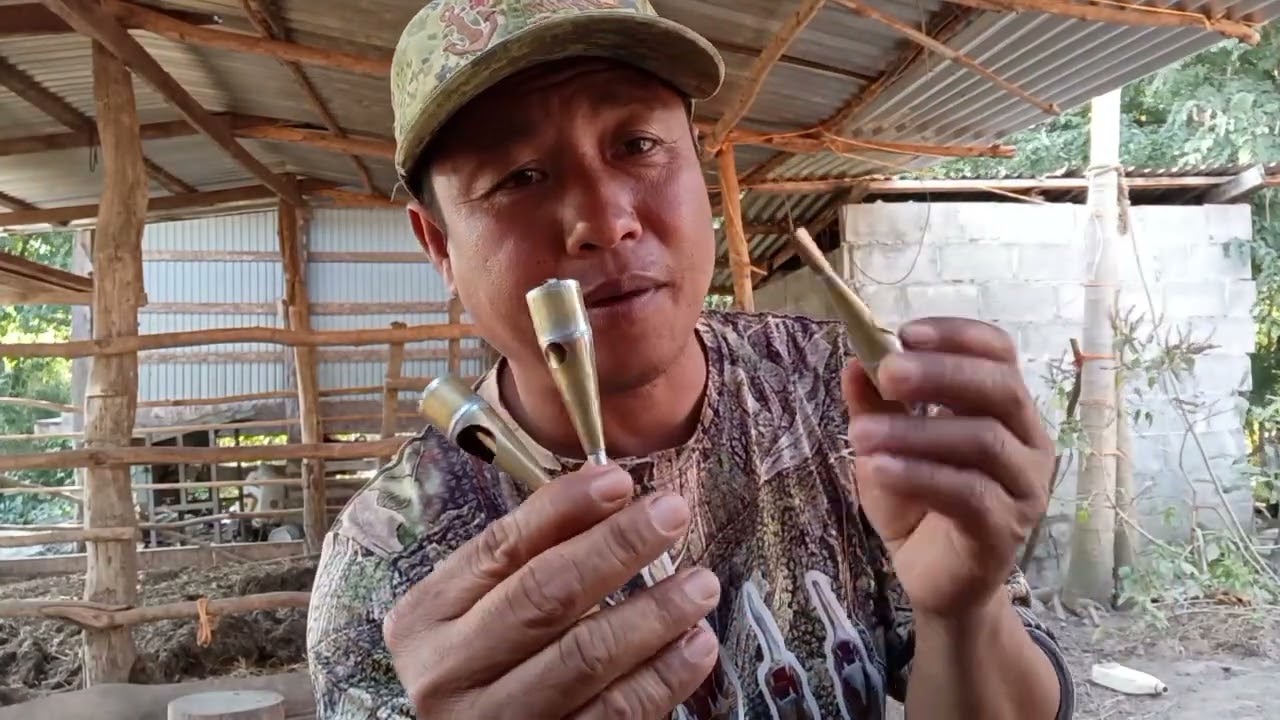 เทคนิคต่อไก่หนุ่มต่อไก่แก่ประสบการณ์/จ่อยคนตีผึ้ง