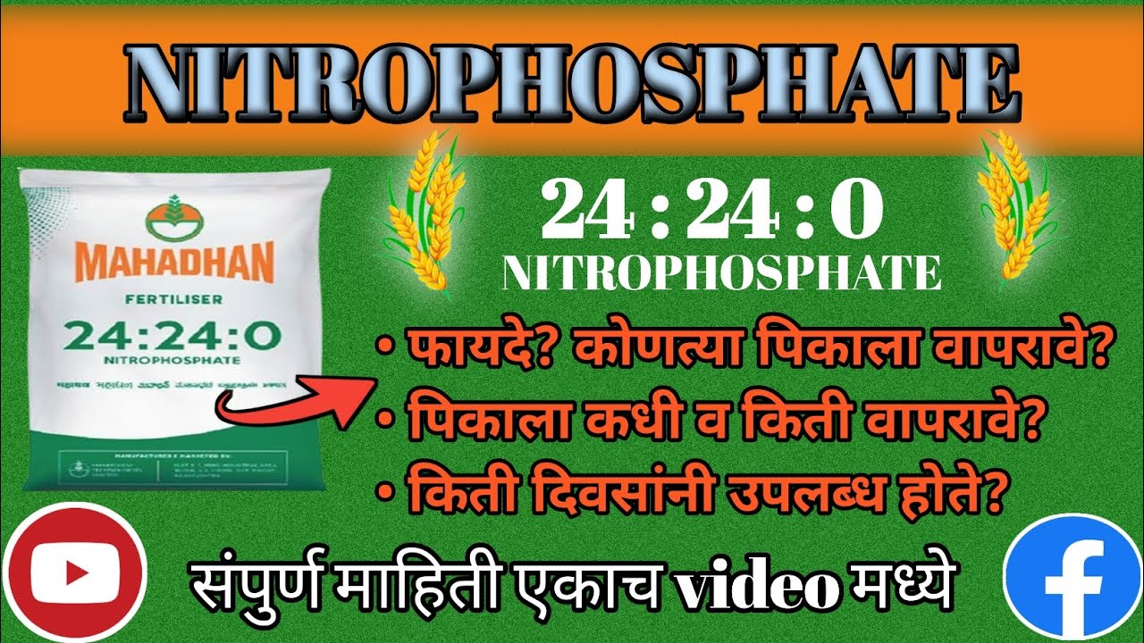 24-24-0-fertilizer-24-24-0-fertilizer-full-information-in-marathi-24