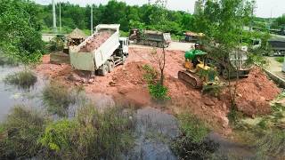 Watch Smooth Job! Expertly KOMATSU Bulldozers Move Stones Filling Up Land With Team Dump Trucks Pro