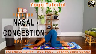 Extended Puppy - Dog Pose - Uttana Shishosana - Yoga Tutorial - Video-19